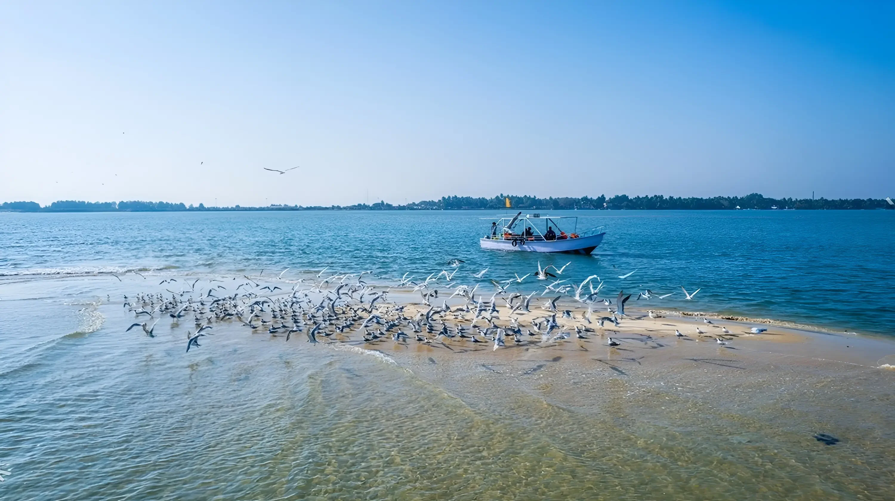 Sand Island 